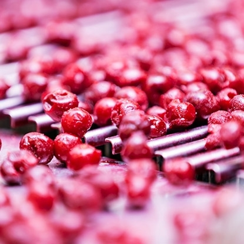 Picture of FRUIT AND VEGETABLE PROCESSING LINES FOR PRODUCTION PLANTS